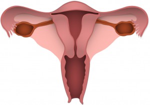 子宮卵巣